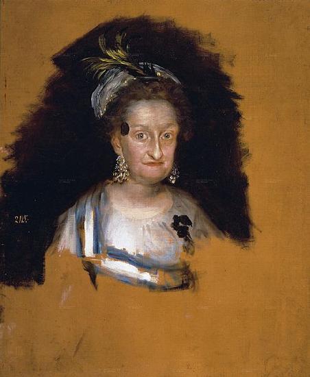 Francisco de Goya hermana de Carlos III oil painting picture
